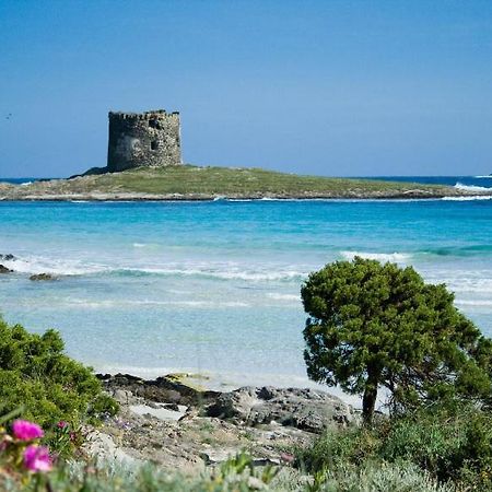 Vacanze Sardegna Apartment Santa Teresa Gallura Ngoại thất bức ảnh
