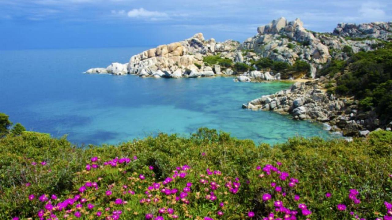 Vacanze Sardegna Apartment Santa Teresa Gallura Ngoại thất bức ảnh
